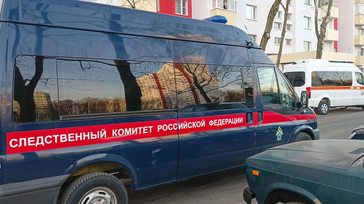    Фото: Pogiba Alexandra/news.ru