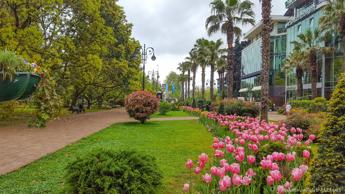 Навагинская улица в мае