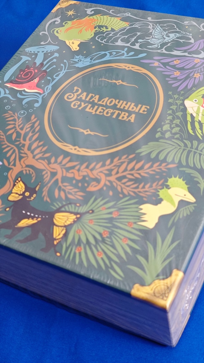 Загадочные существа - коробка с игрой