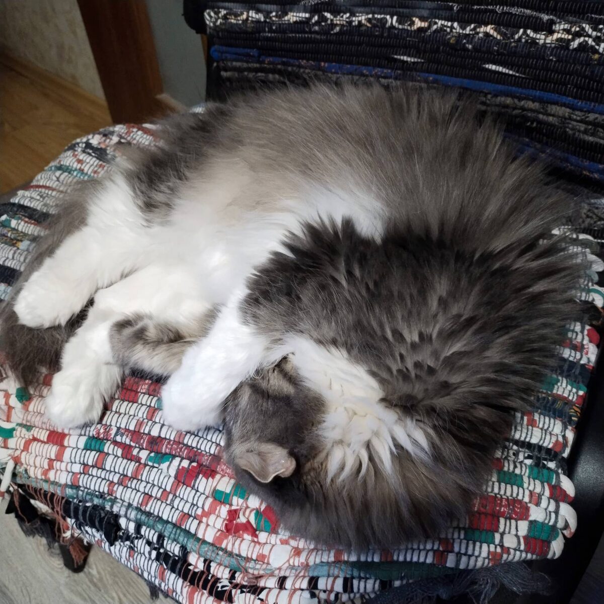 Снег выпал. Надо нос спрятать