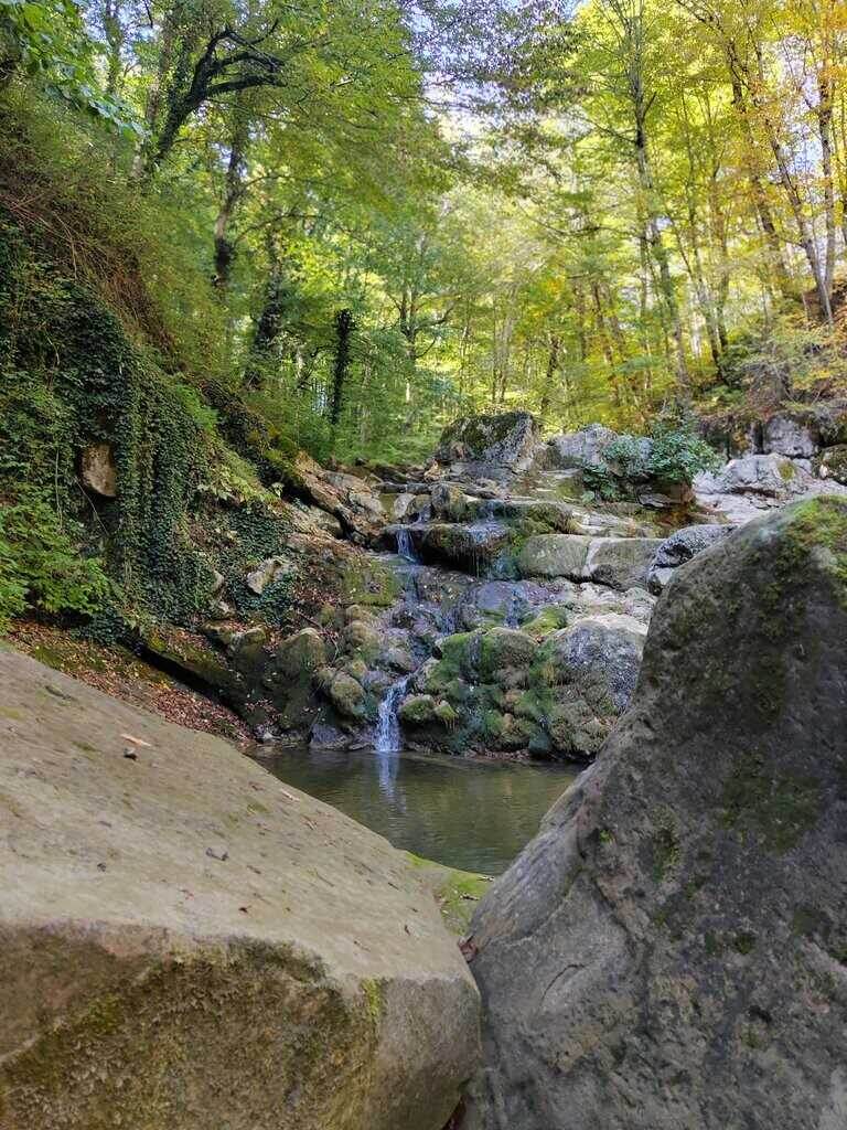 Фотографии взяты из открытых источников 