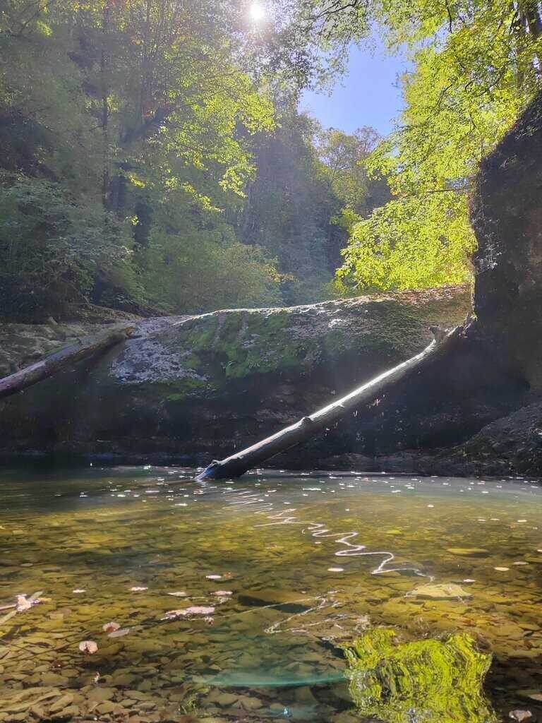 Фотографии взяты из открытых источников