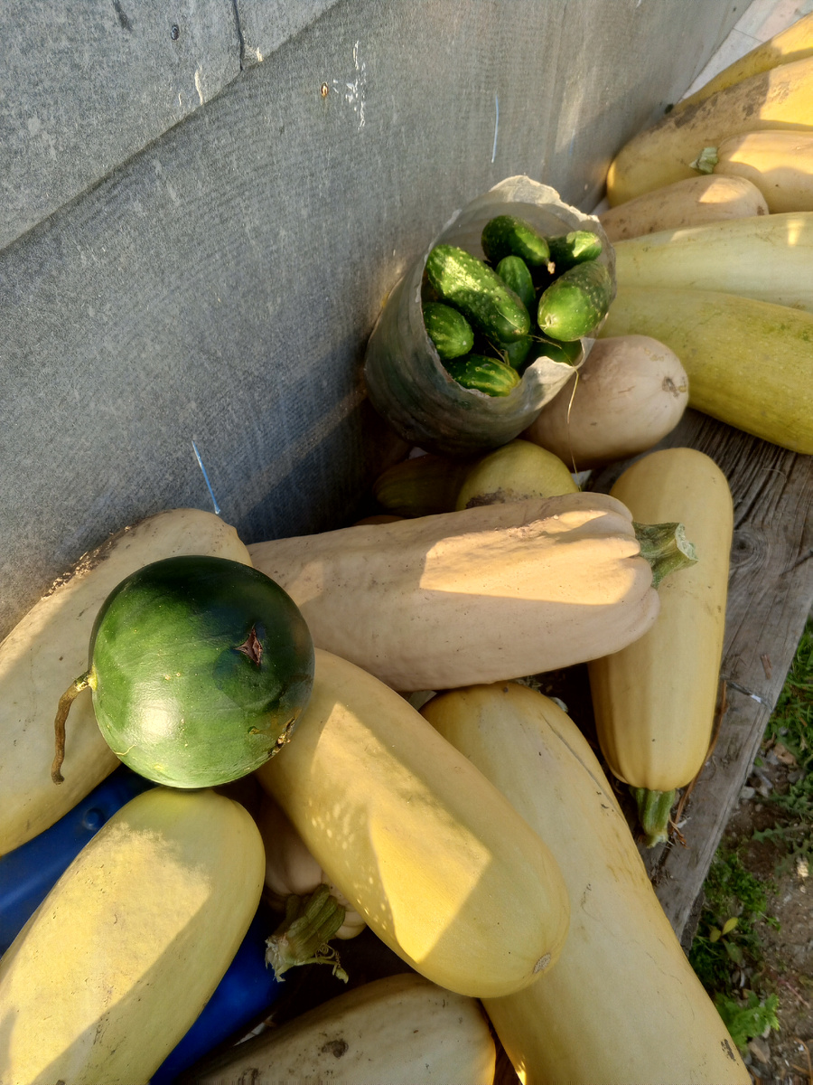 Ой, не она😀