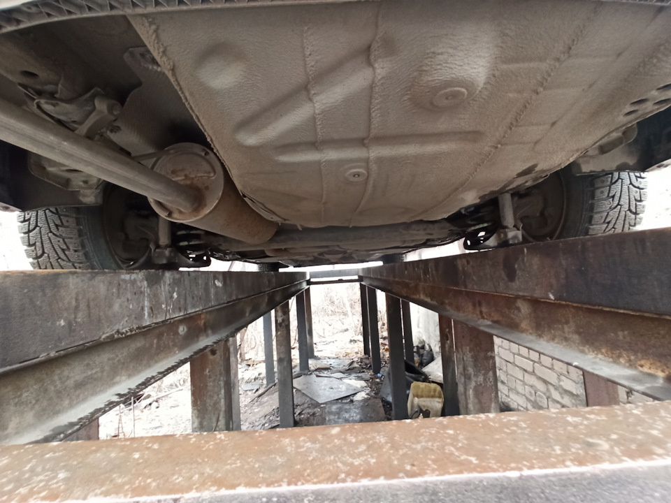 Полик весело чилит на эстакаде