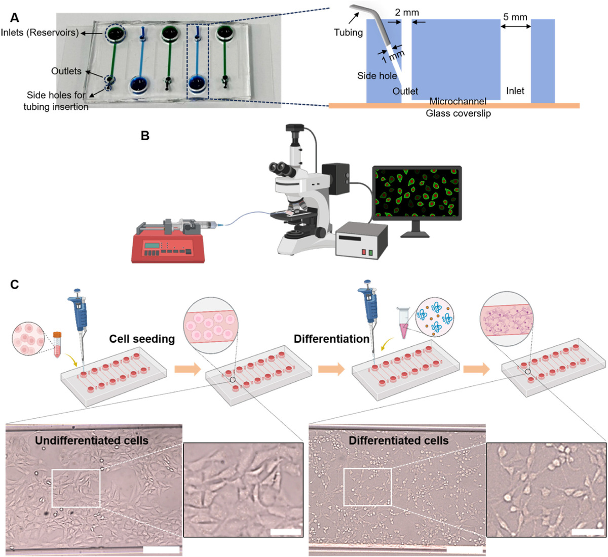    Biosensors and Bioelectronics