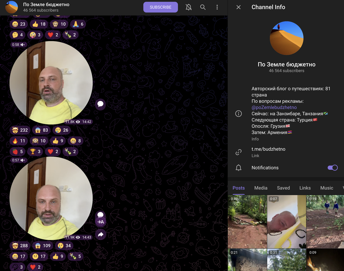 Скриншот из телеграм-канала Константина Гришина.
