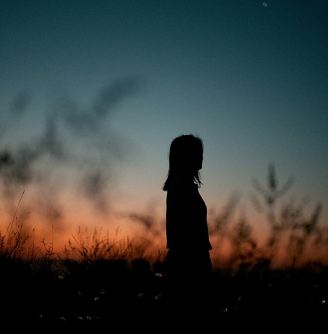 Источник: https://unsplash.com/ 