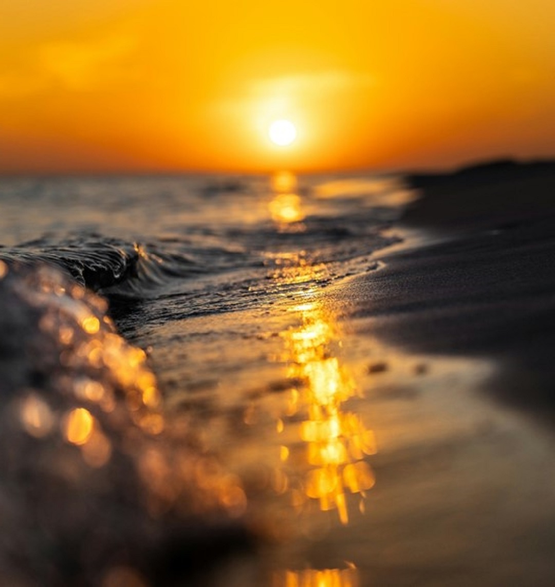 Источник: https://unsplash.com/ 