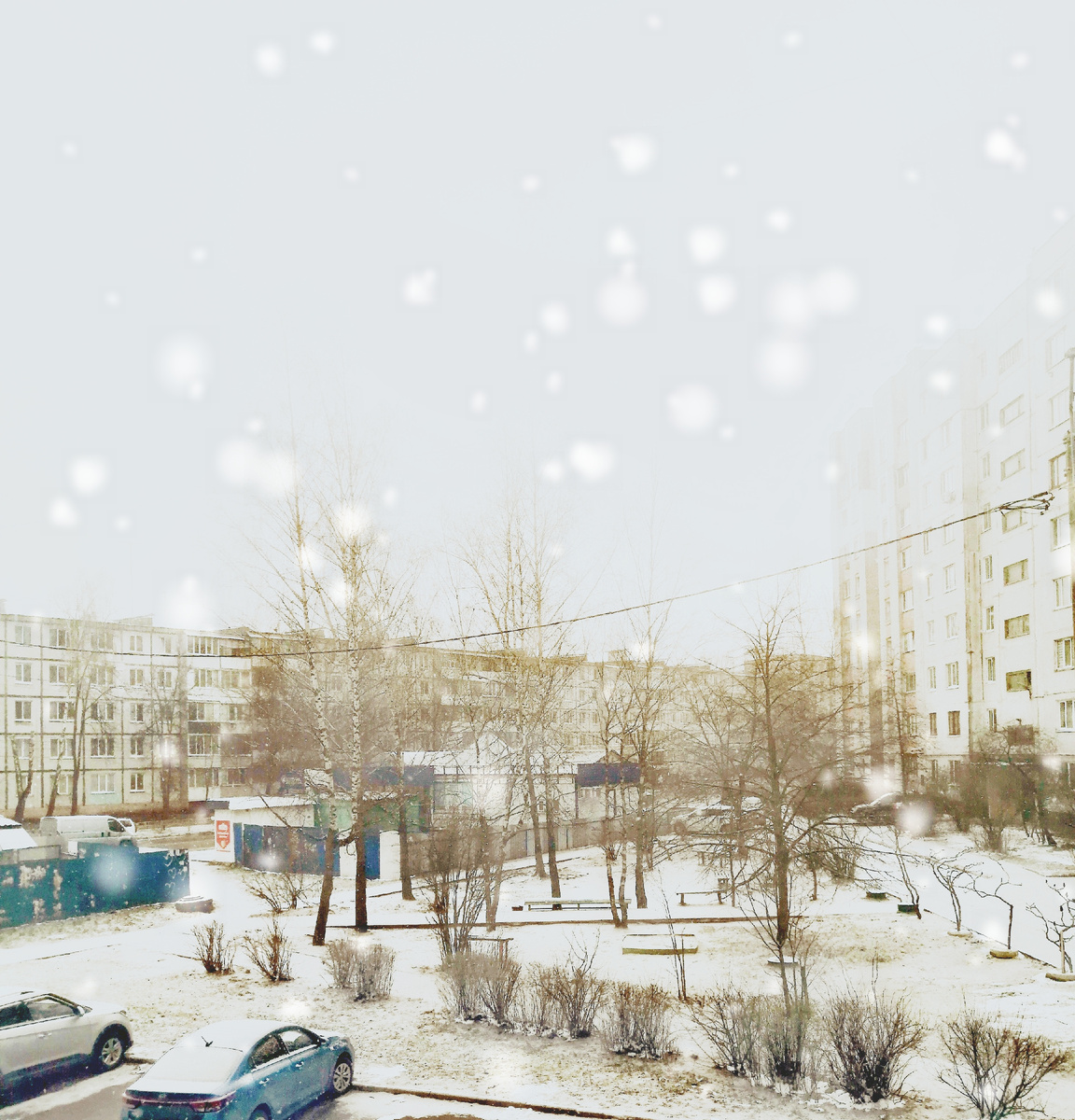 Выпал теплый весенний снег 