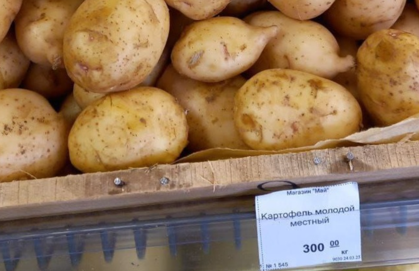Золотая картошка Израиля