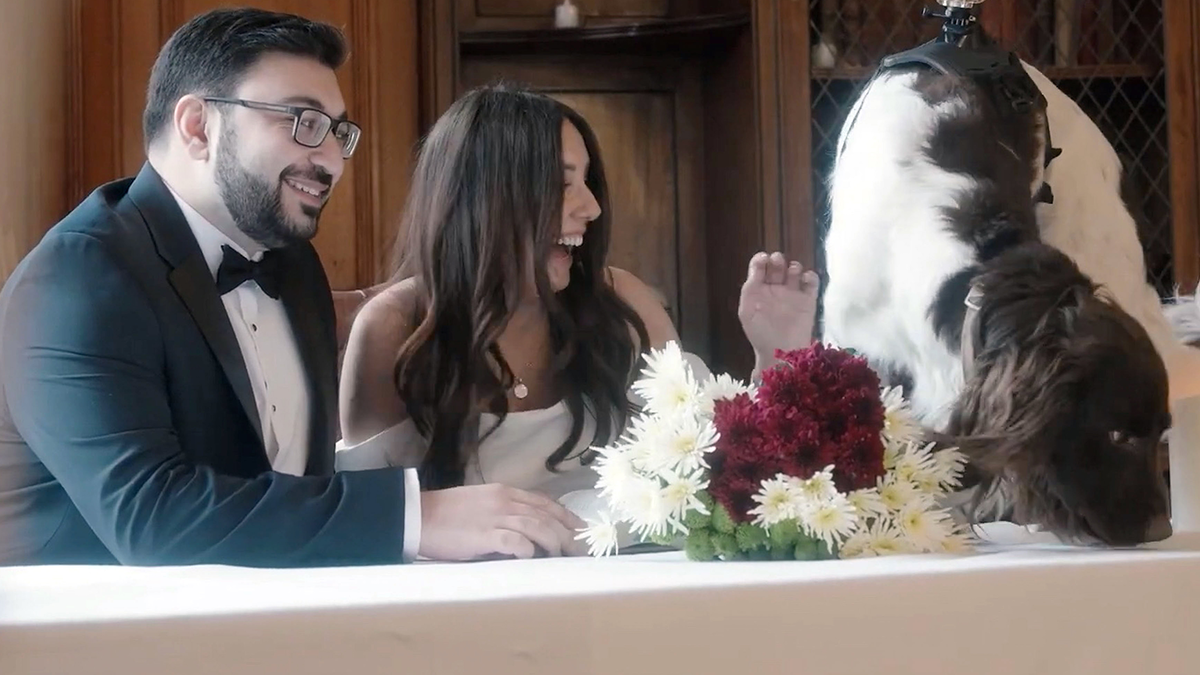    В Колорадо отпечаток лапы собаки может считаться печатью на свидетельстве о браке