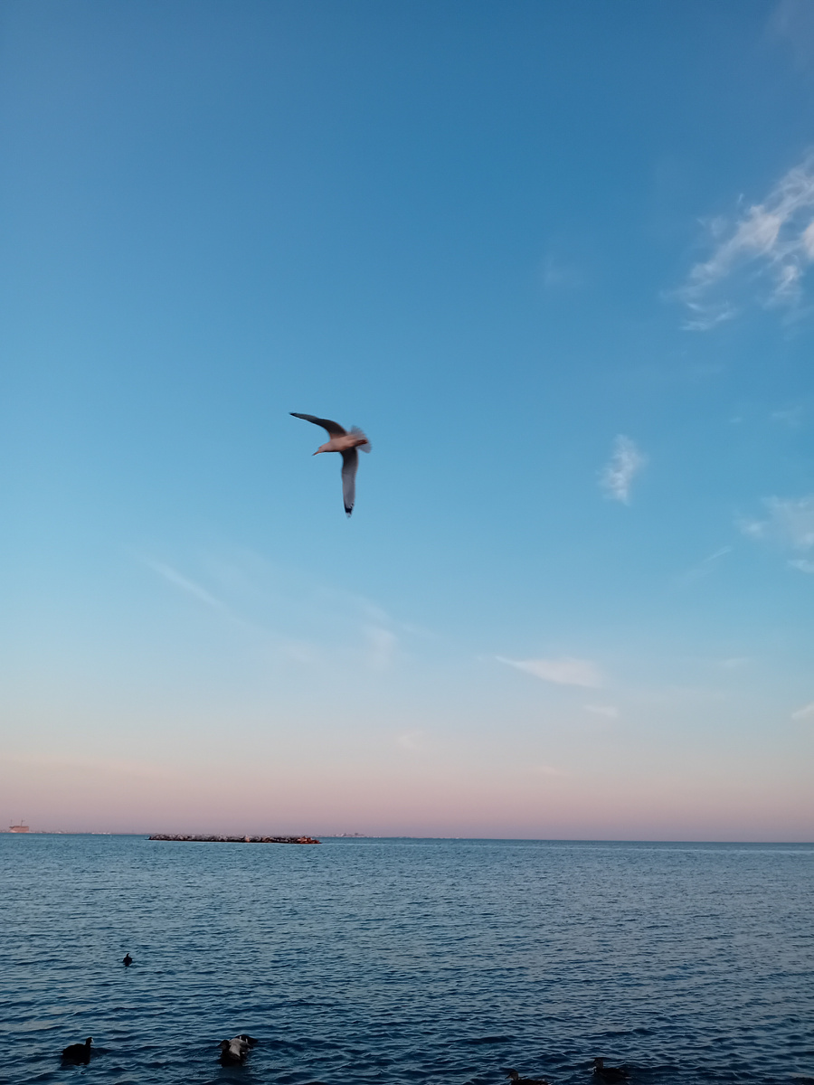  Авторское фото.