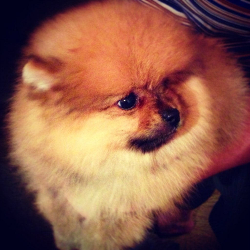 Первое знакомство