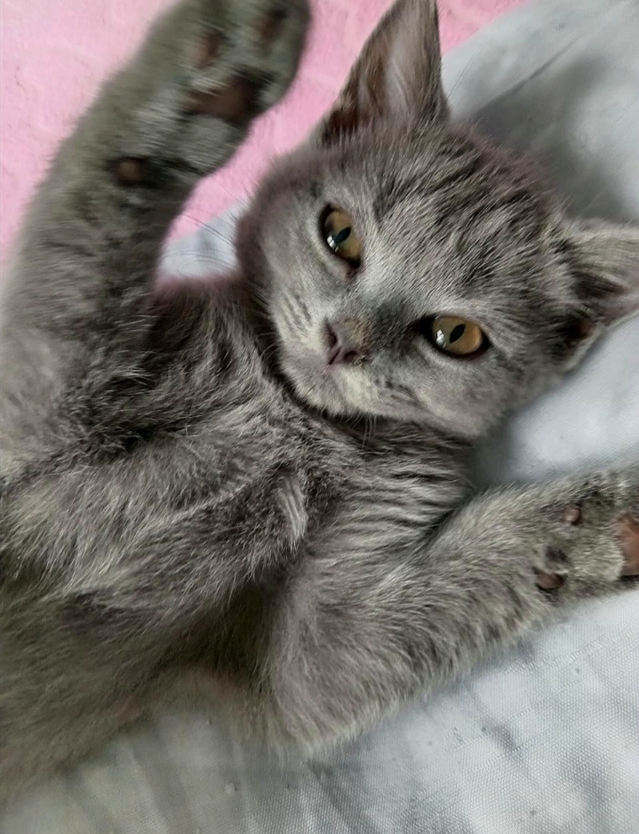 Фото автора.