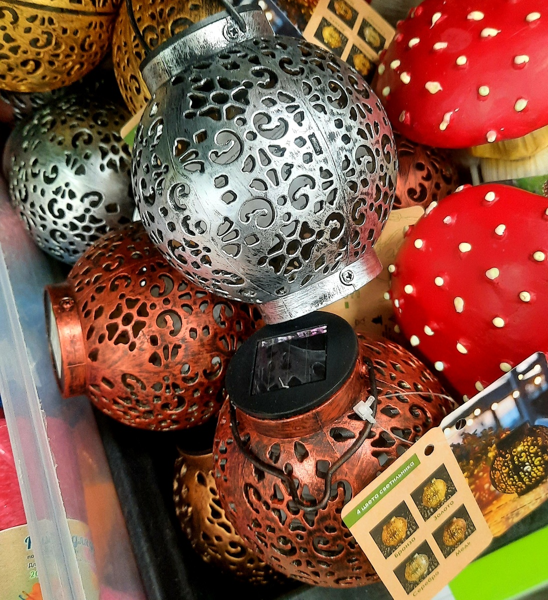 Фото автора. Кстати, рядышком там мухоморы - ими я что-то пока тоже не соблазнилась. 