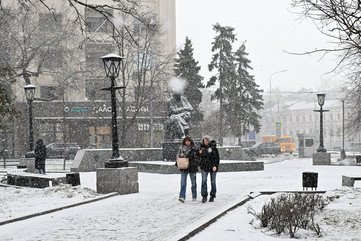 Растения и деревья, как жители столицы, явно были не готовы к повторному наступлению зимы. Cергей Киселев / Агентство "Москва