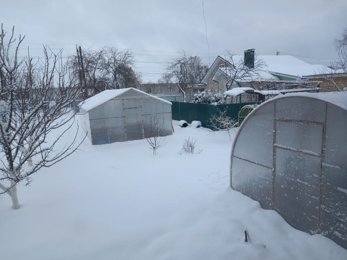 8 апреля 2025 года. Брянская область. Фото автора.