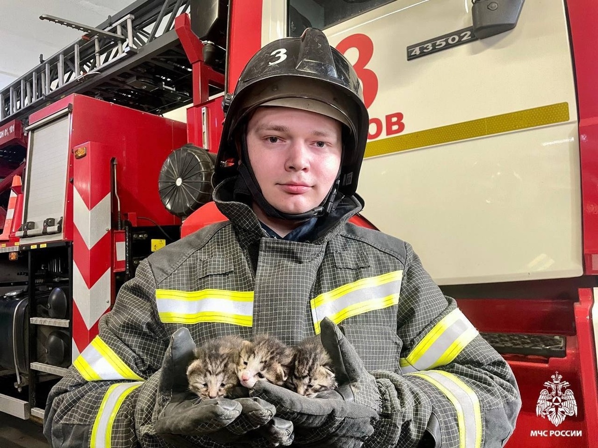 Фото: пресс-служба МЧС России