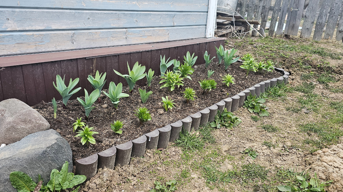 Фото сделано 6 апреля 2025года