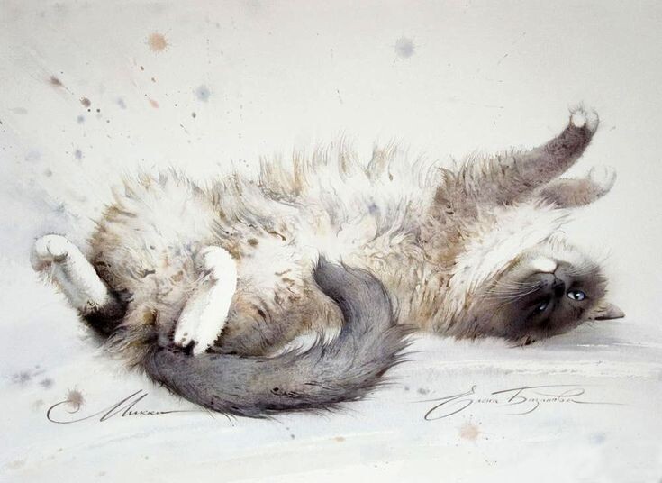 Один из знаменитых котов петербургской художницы Елены Базановой