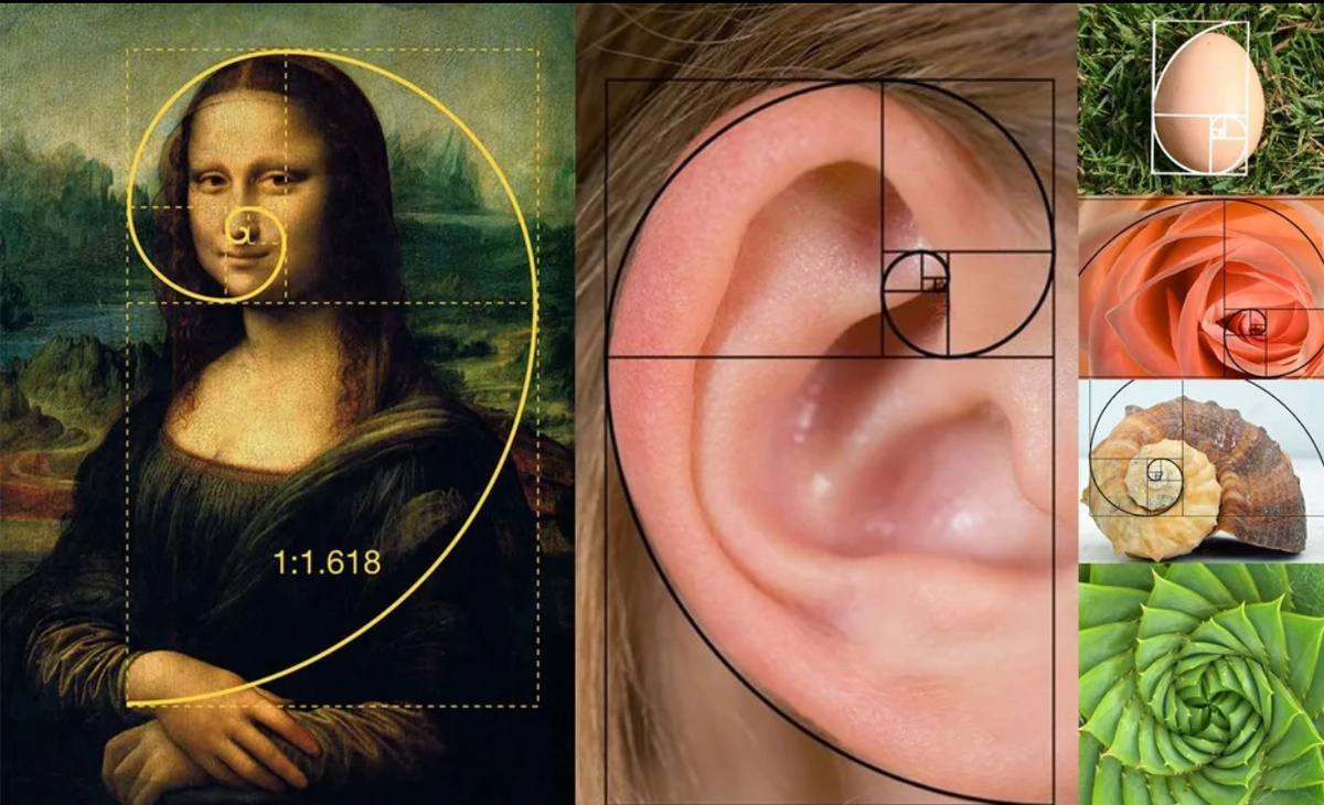 Золотое сечение Леонардо да Винчи