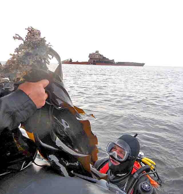 Учёные изучают ламинарию в разных местах, только не у Зырянского.