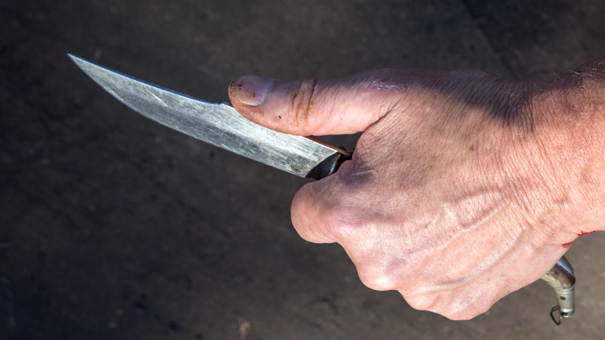    Фото: www.globallookpress.com/Nikolay Gyngazov