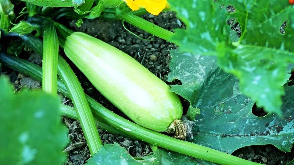     Источник: freepik.com