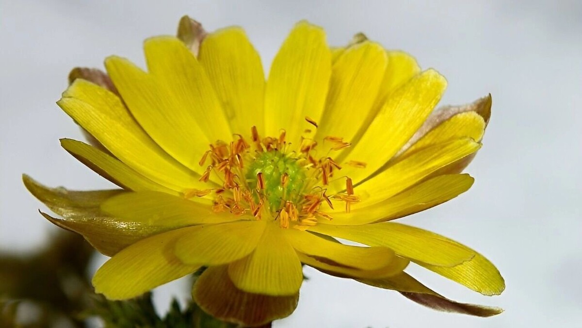     Источник: Пресс-служба Комсомольского заповедника