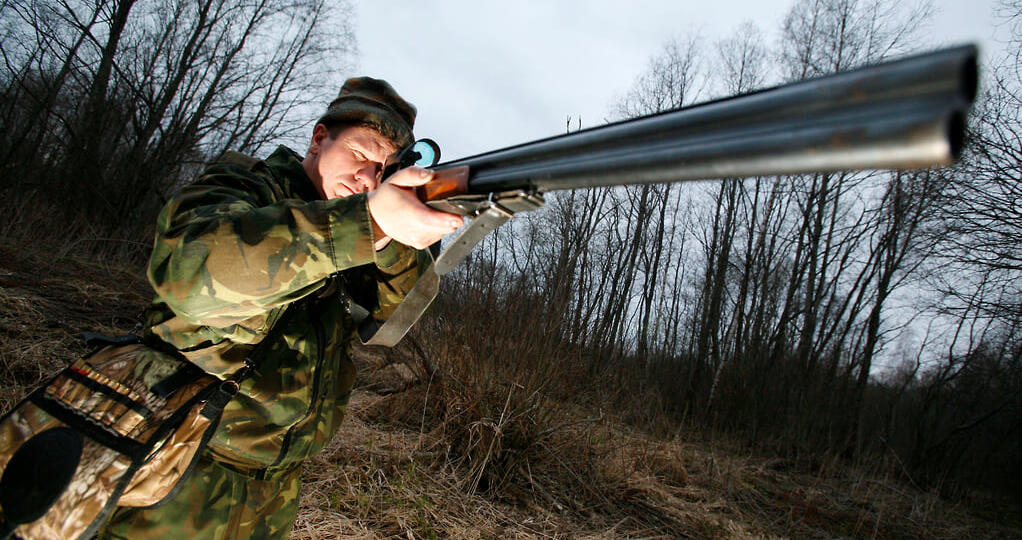 Минприроды изменит правила охоты на вальдшнепов, бобров и ондатр