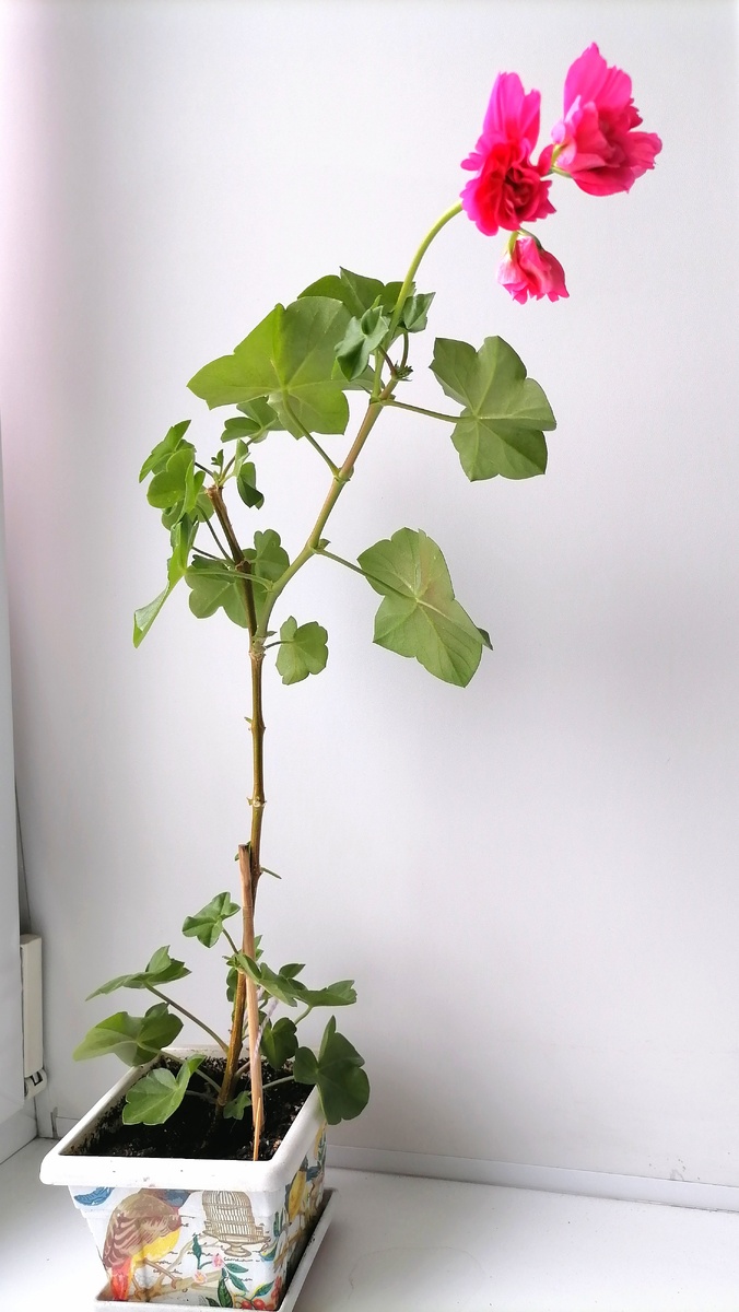 И что с этим делать?