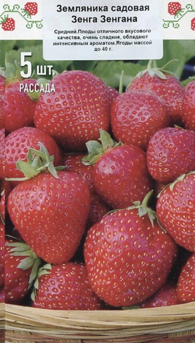    Зенга Зенгана