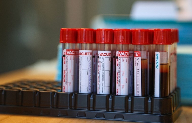    Сергей Булкин/NEWS.ru