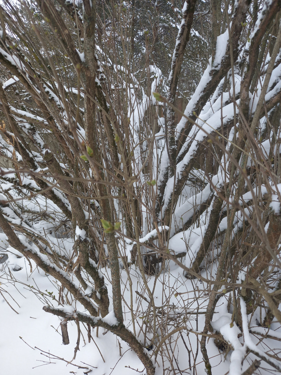 Фото автора канала