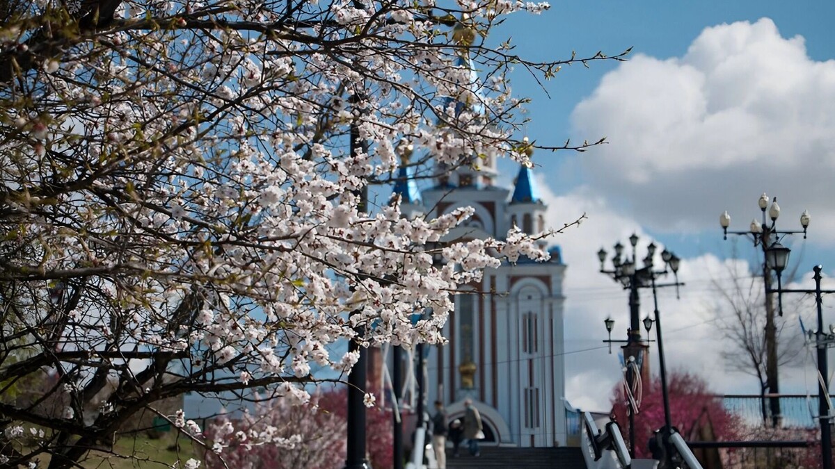    Автор: Ирина Фастовец Источник: Пресс-служба губернатора и правительства Хабаровского края
