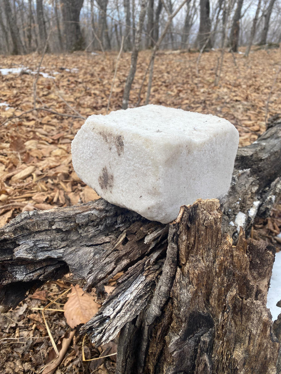 Солонец в грязи от животных