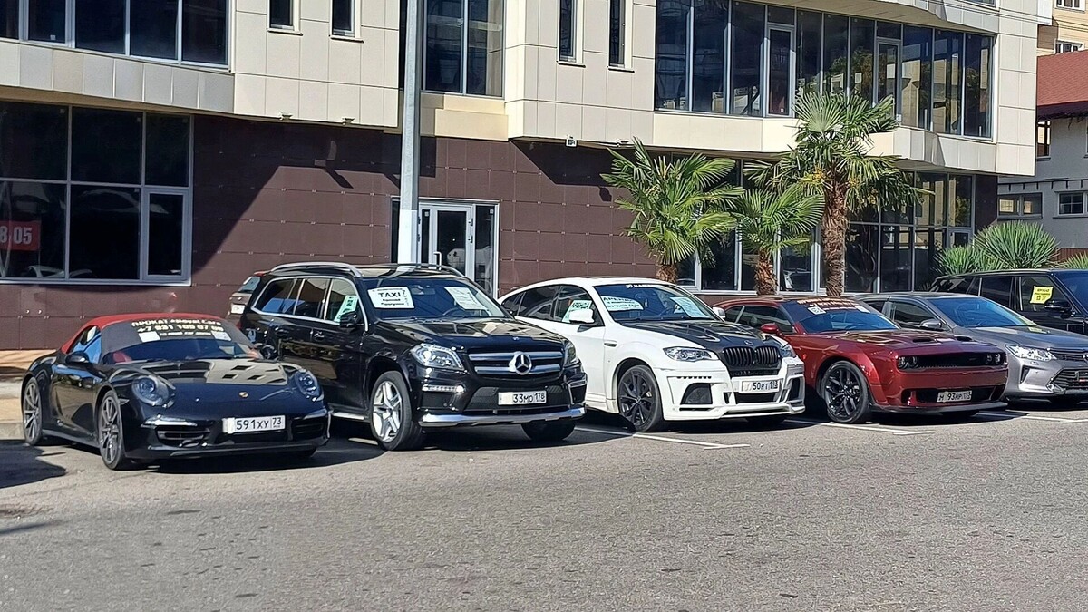     Автор: KubanPress