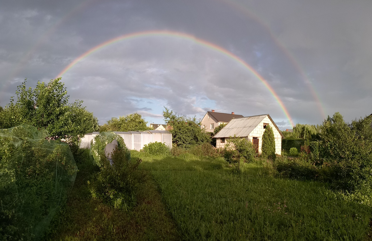 Трава на бывших грядках и двойная радуга над поселком. Лето 2020.