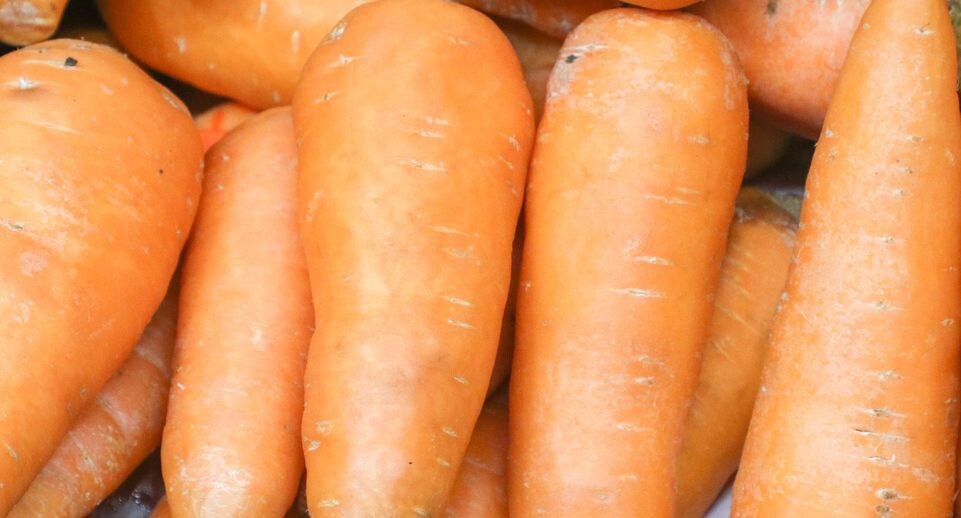    Petrov Sergey/news.ru / www.globallookpress.com