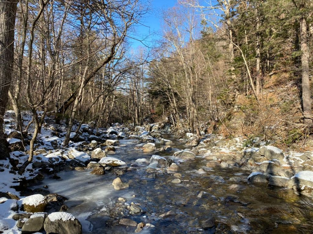 Зимняя прогулка по Смольному ручью
