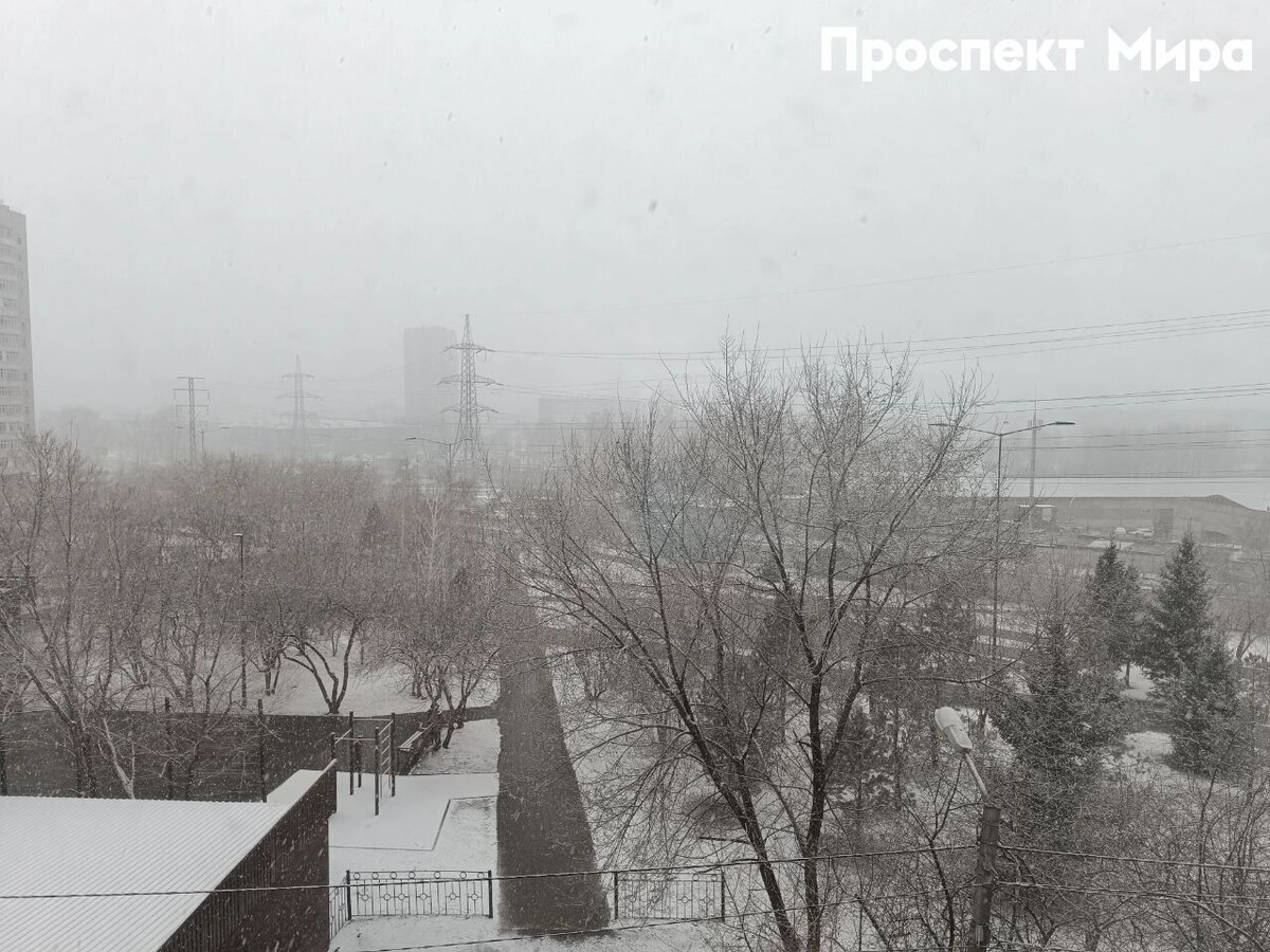     Источник: prmira.ru