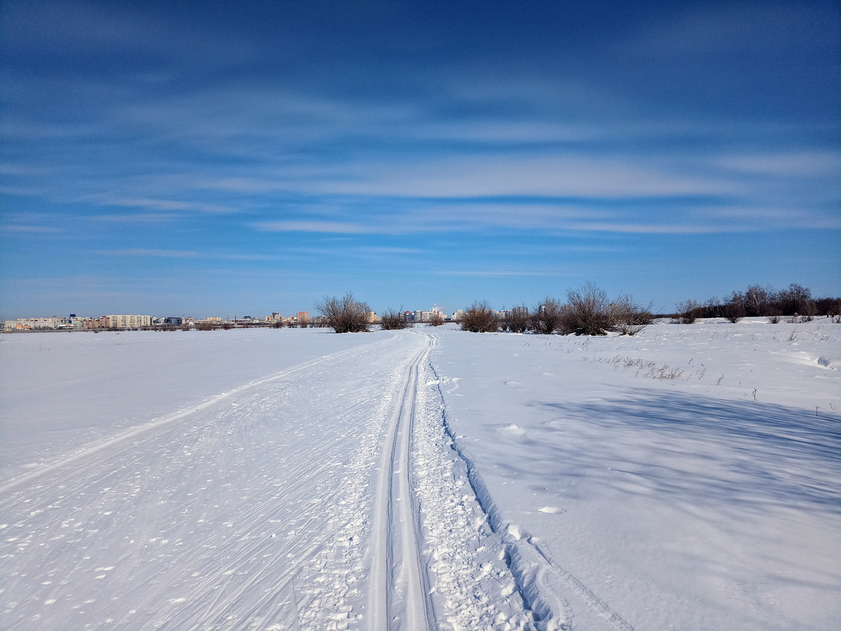 Якутск. Лыжня на Зеленом лугу.