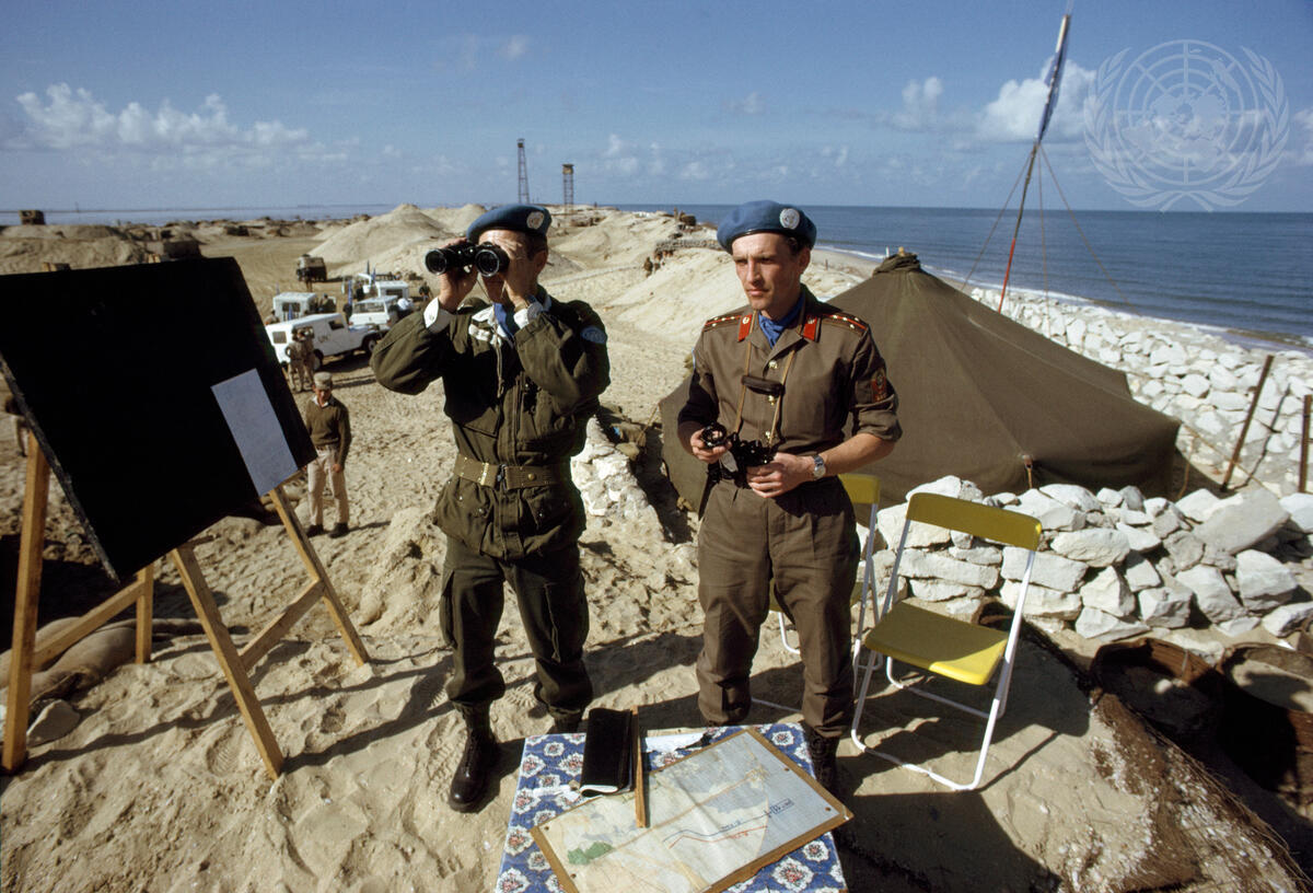 Фото из Яндекса. Спасибо автору. 