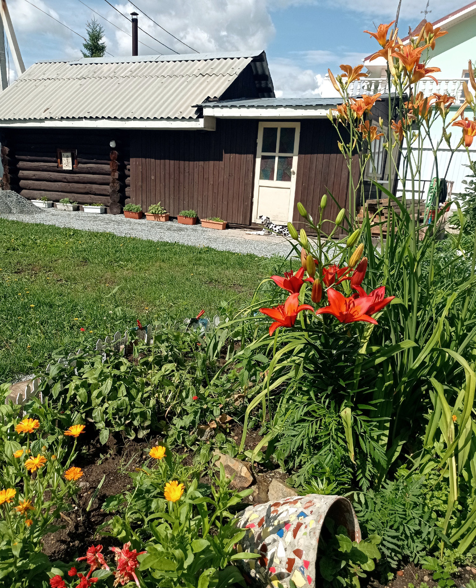 Наша баня и летний домик.