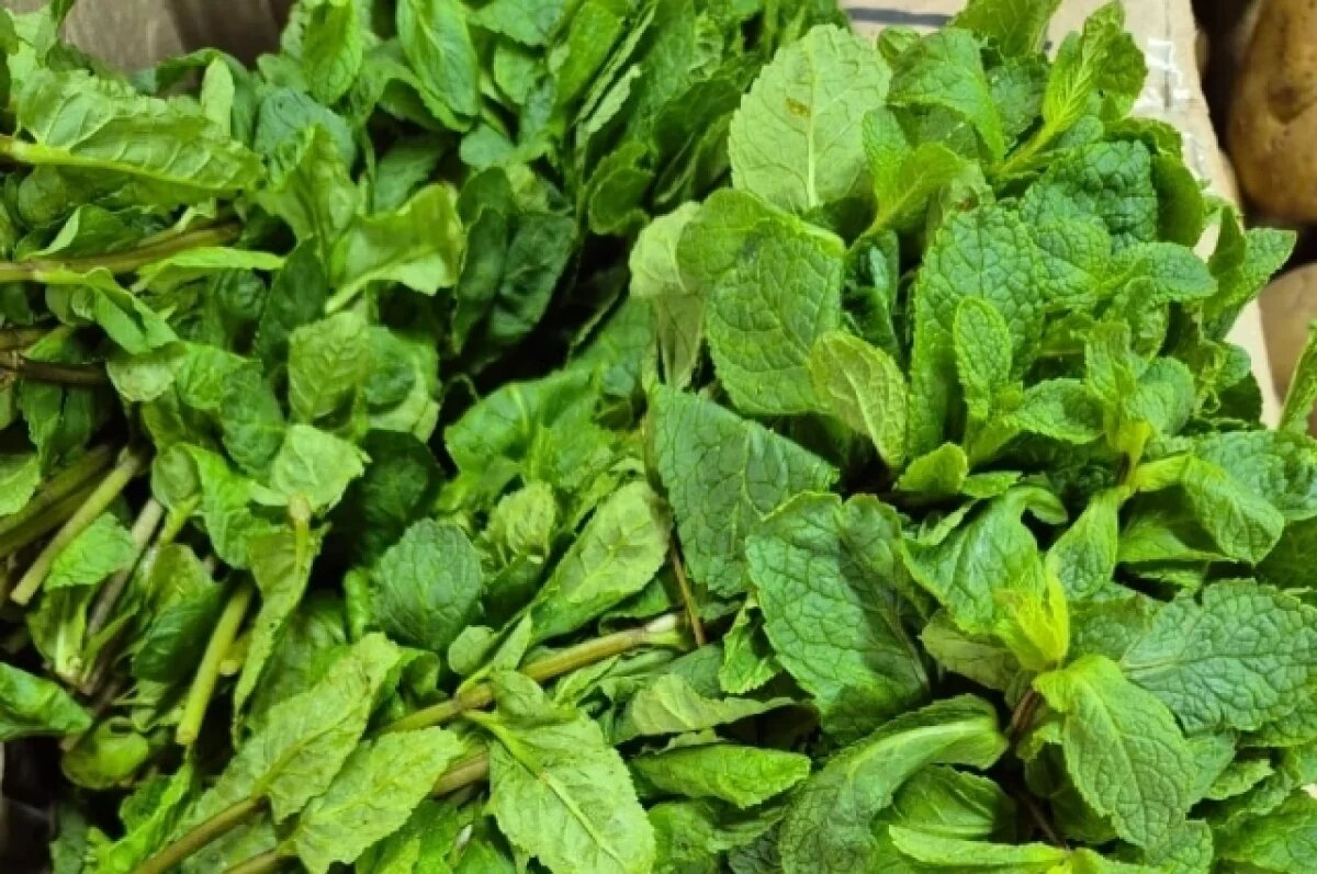    В Красноярск доставили почти 5 тонн черемши и 380 кг мяты из Армении