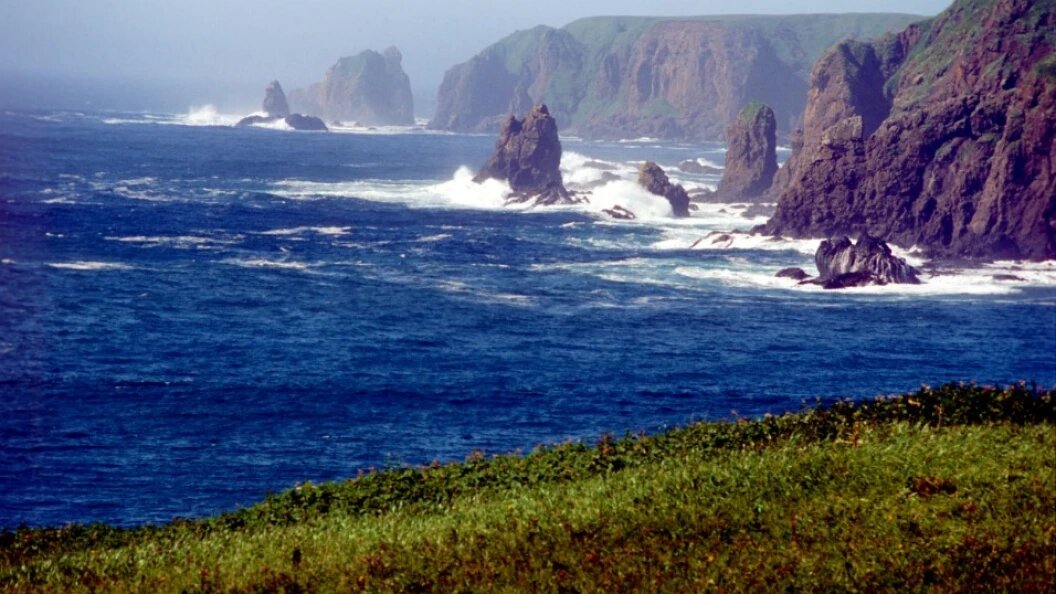    Aleksander Lyskin/Russian Look/Globallookpress