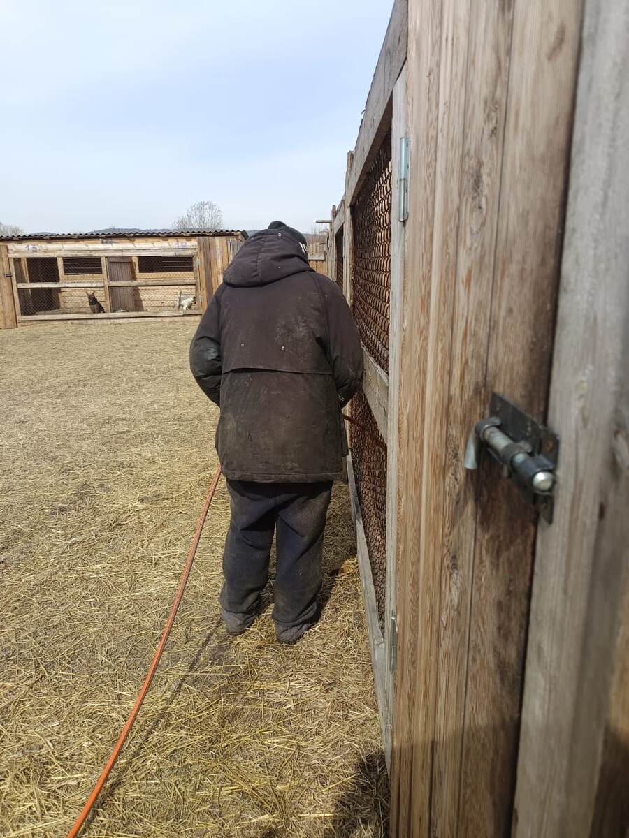 Света поит питомцев