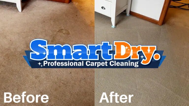 Чистота в доме, офисе, квартире не только санитарная, но и психологическая потребность. 