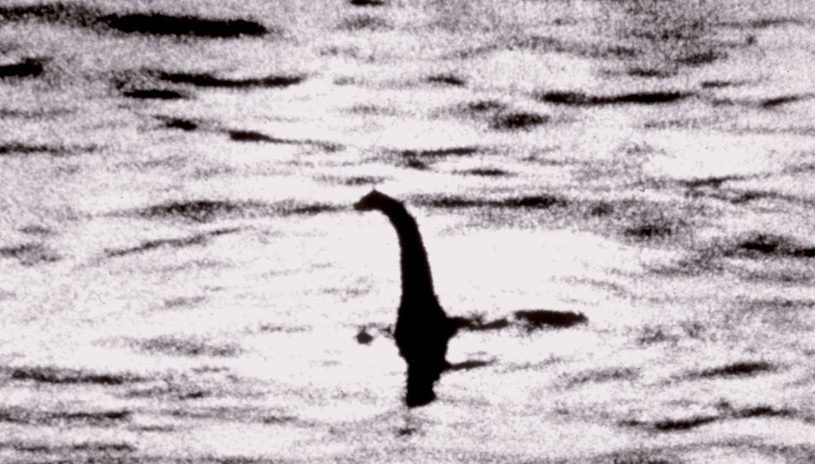 Фото Лох-Несского чудовища. Изображение взято с Яндекс картинок.