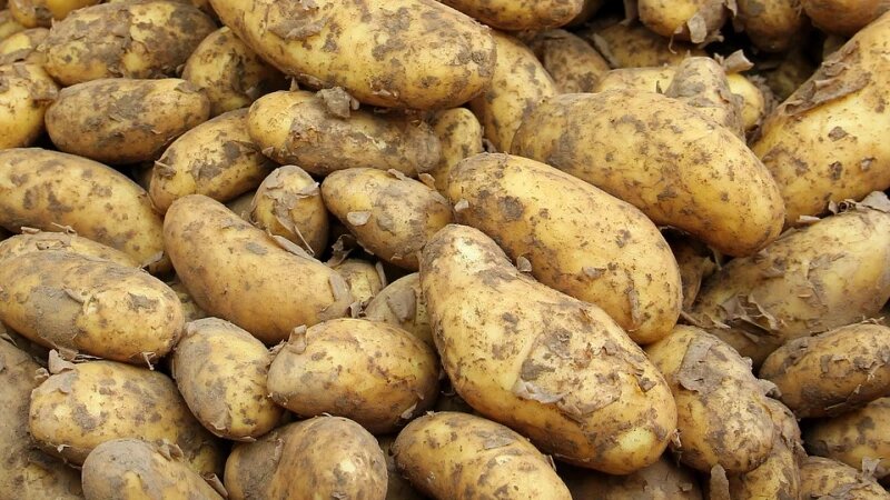     Картофель, овощи, продукты, урожай. pixabay.com/